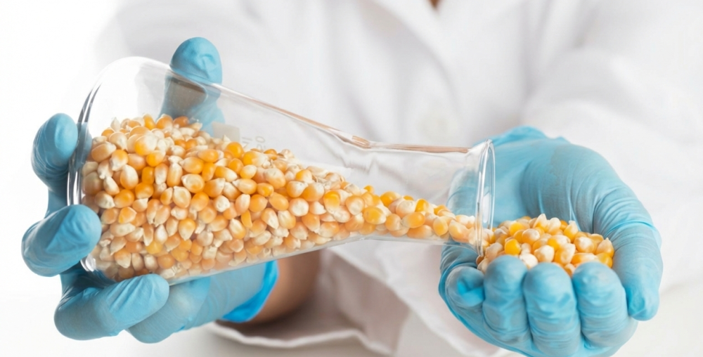 Hammadde, ara ürün ve final ürünlerde anlık testler.