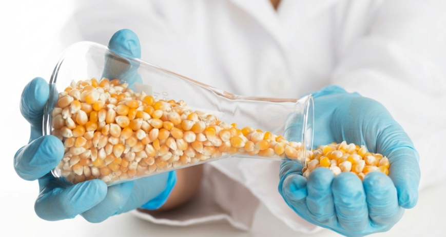 Hammadde, ara ürün ve final ürünlerde anlık testler.